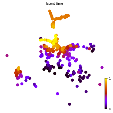 ../_images/notebook_Celegans_model_comparison_19_0.png