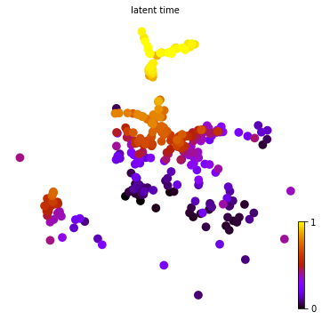 ../_images/notebook_Celegans_model_comparison_27_0.png