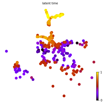 ../_images/notebook_Celegans_model_comparison_8_0.png