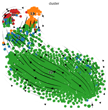 ../_images/notebook_Erythroid_comparison_34_1.png